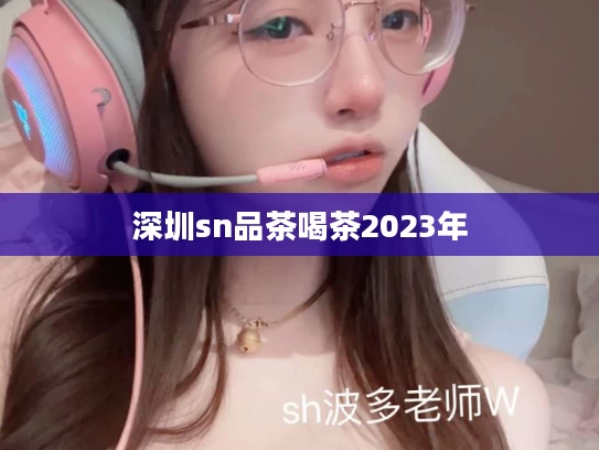 深圳sn品茶喝茶2023年