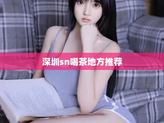 深圳sn喝茶地方推荐