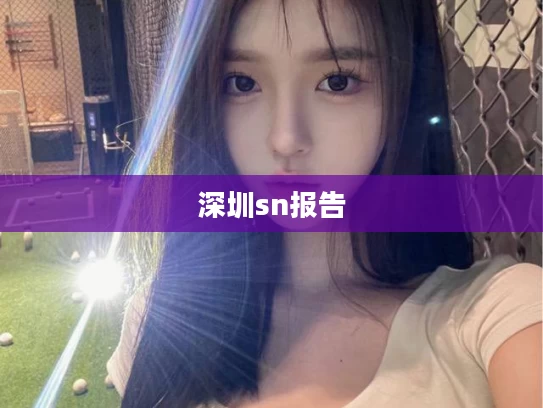 深圳sn报告