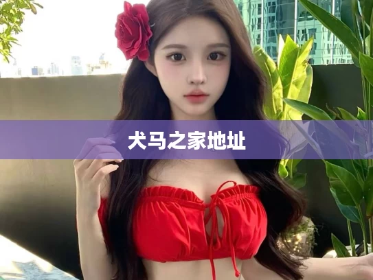 犬马之家地址