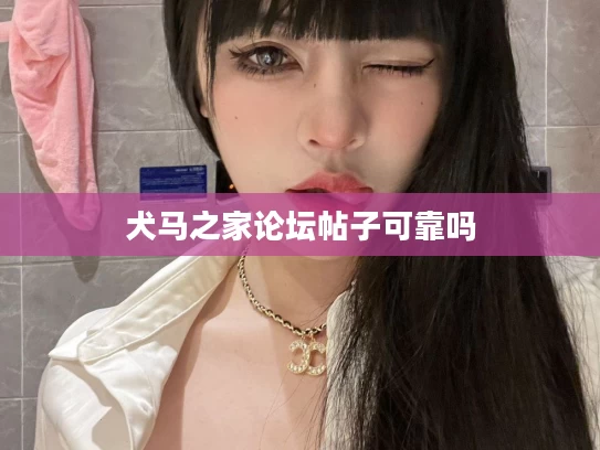 犬马之家论坛帖子可靠吗
