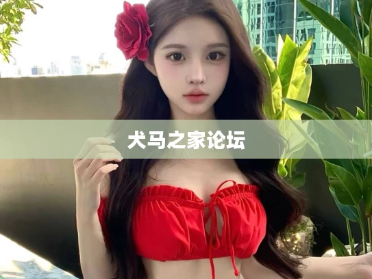 犬马之家论坛