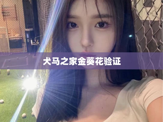 犬马之家金葵花验证
