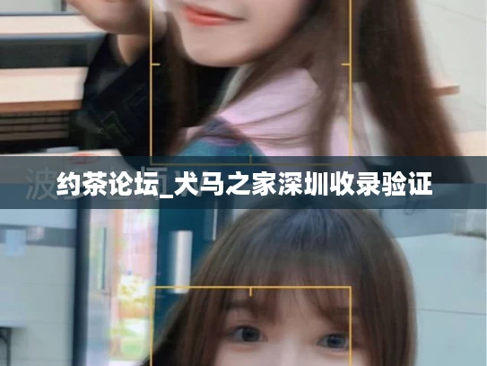 约茶论坛_犬马之家深圳收录验证