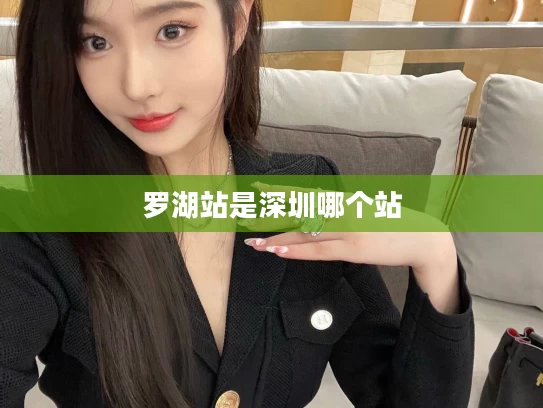 罗湖站是深圳哪个站