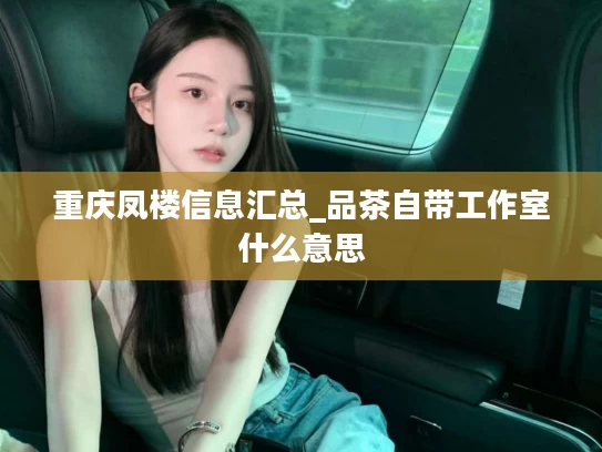 重庆凤楼信息汇总_品茶自带工作室什么意思