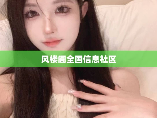 风楼阁全国信息社区