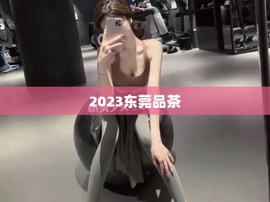 2023东莞品茶